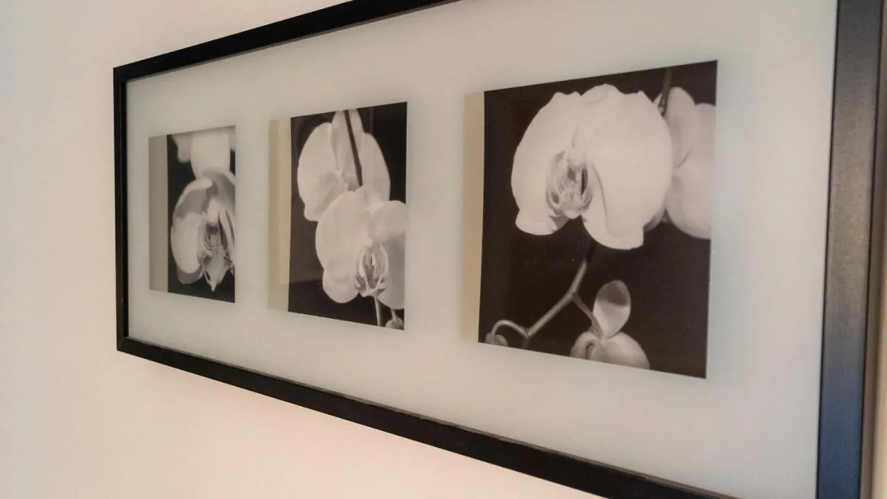 Italianway - Riva Di Reno 47 B Apartment Bologna 0*,  Italy